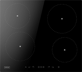 Induktionsfeld Reparatur Maintal
